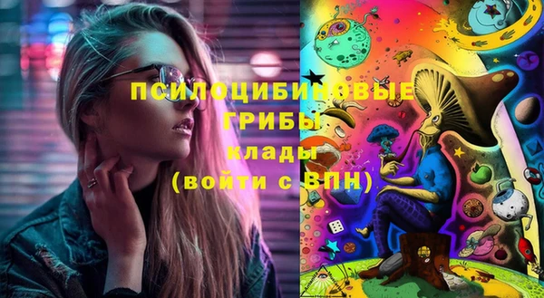 ГАЛЛЮЦИНОГЕННЫЕ ГРИБЫ Балабаново
