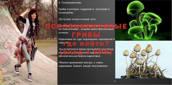 ГАЛЛЮЦИНОГЕННЫЕ ГРИБЫ Балабаново