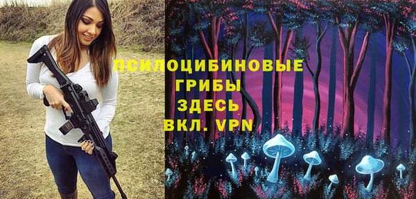 ГАЛЛЮЦИНОГЕННЫЕ ГРИБЫ Балабаново