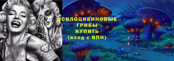 PSILOCYBIN Балахна