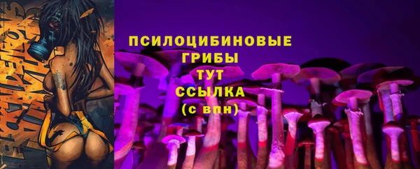 ГАЛЛЮЦИНОГЕННЫЕ ГРИБЫ Балабаново