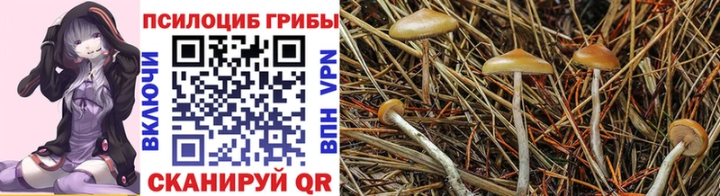 omg как войти  Бирск  Галлюциногенные грибы прущие грибы 